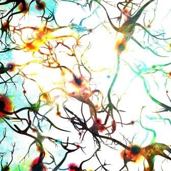 A dyed multicolored image showing a close-up of some neurones